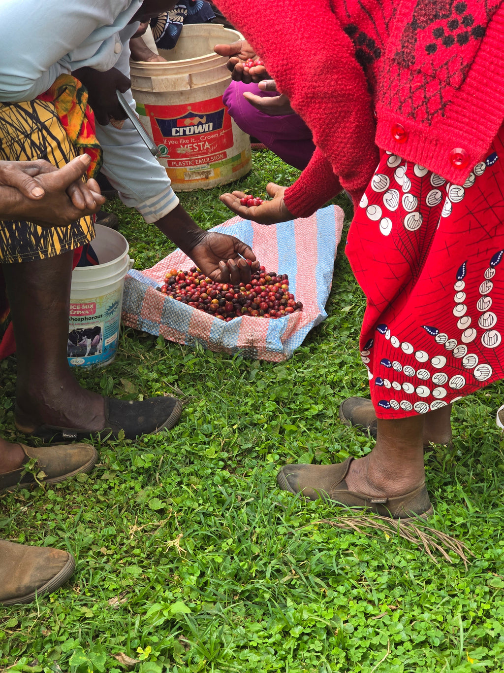 KENYA