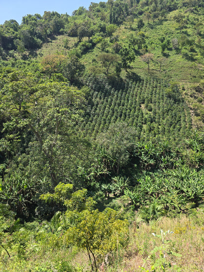 KENYA