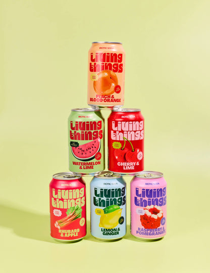 Lemon & Ginger Prebiotic Soda - Living Things