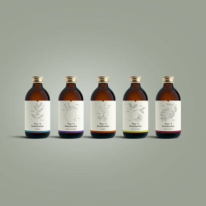 Kombucha (12 x 330ml)