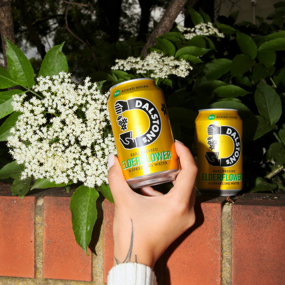 Dalston's Elderflower
