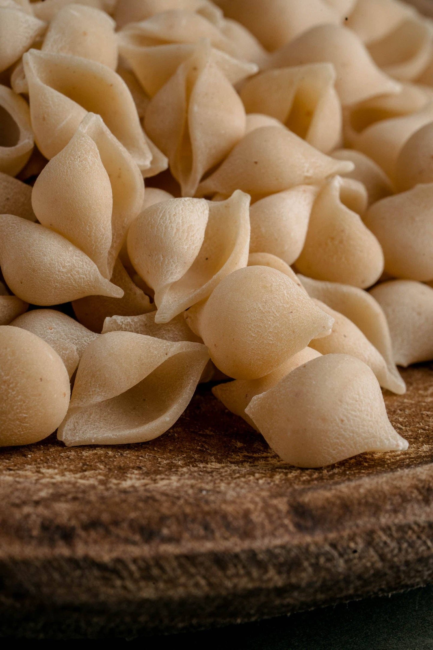 Conchigliette