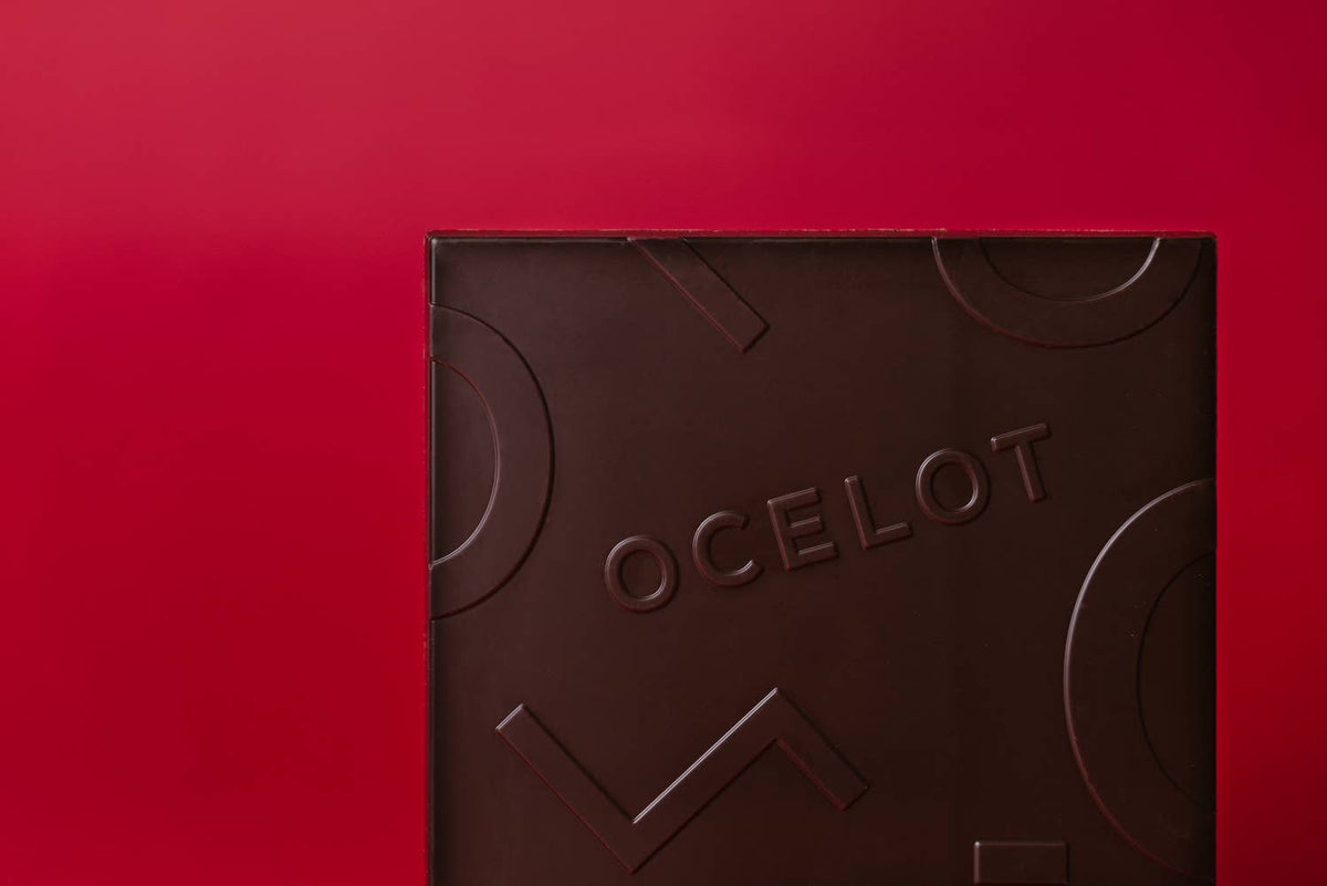 Black Cherry - award winning Organic 70% dark choc bar, 70g